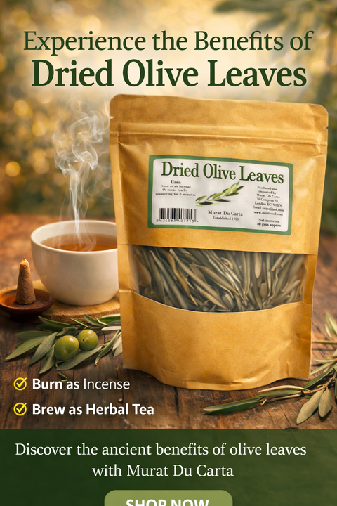 Dried olive leaves