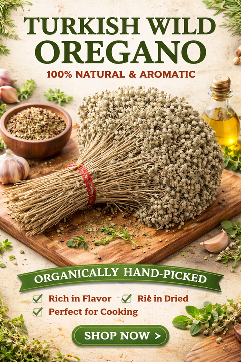 Dried Wild Oregano (bunch)